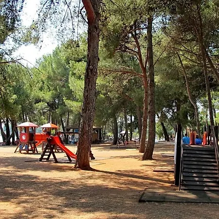 In Novigrad/istrien 9468